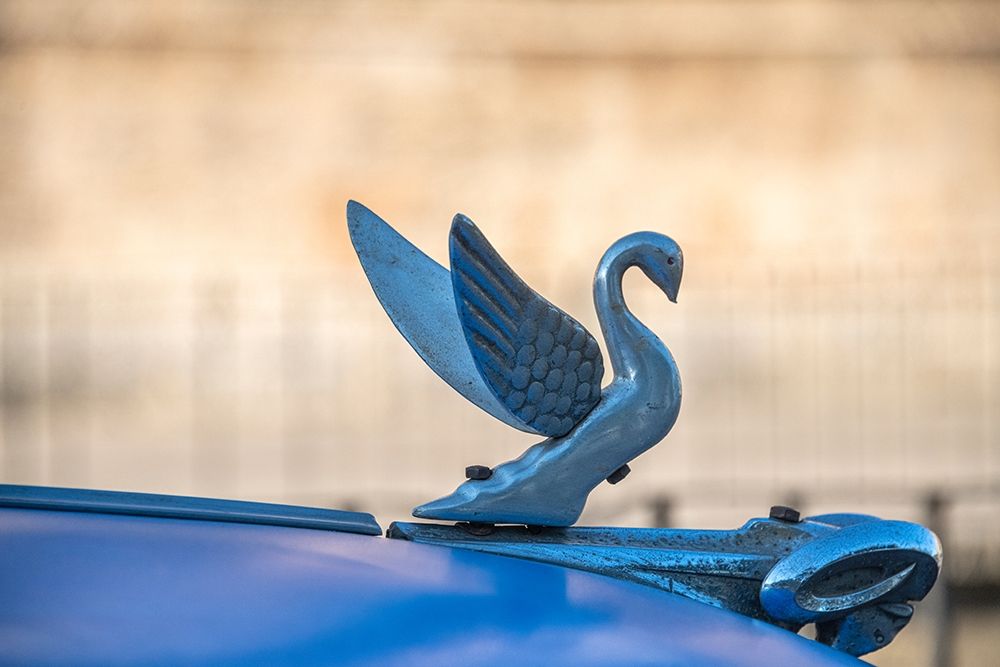 Close-up of a swan hood ornament on a classic blue American car in Vieja-old Habana-Havana-Cuba